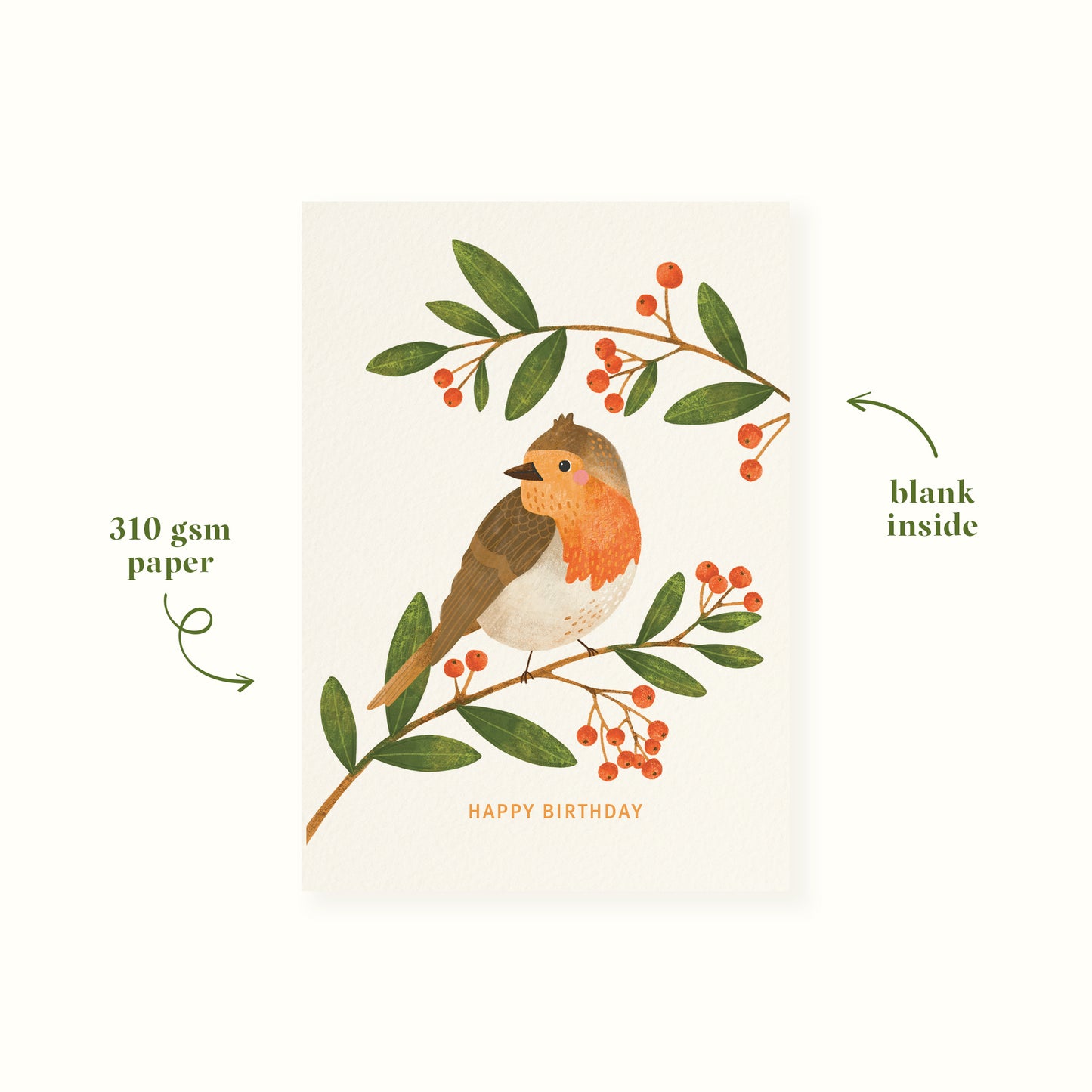 Robin Birthday Card