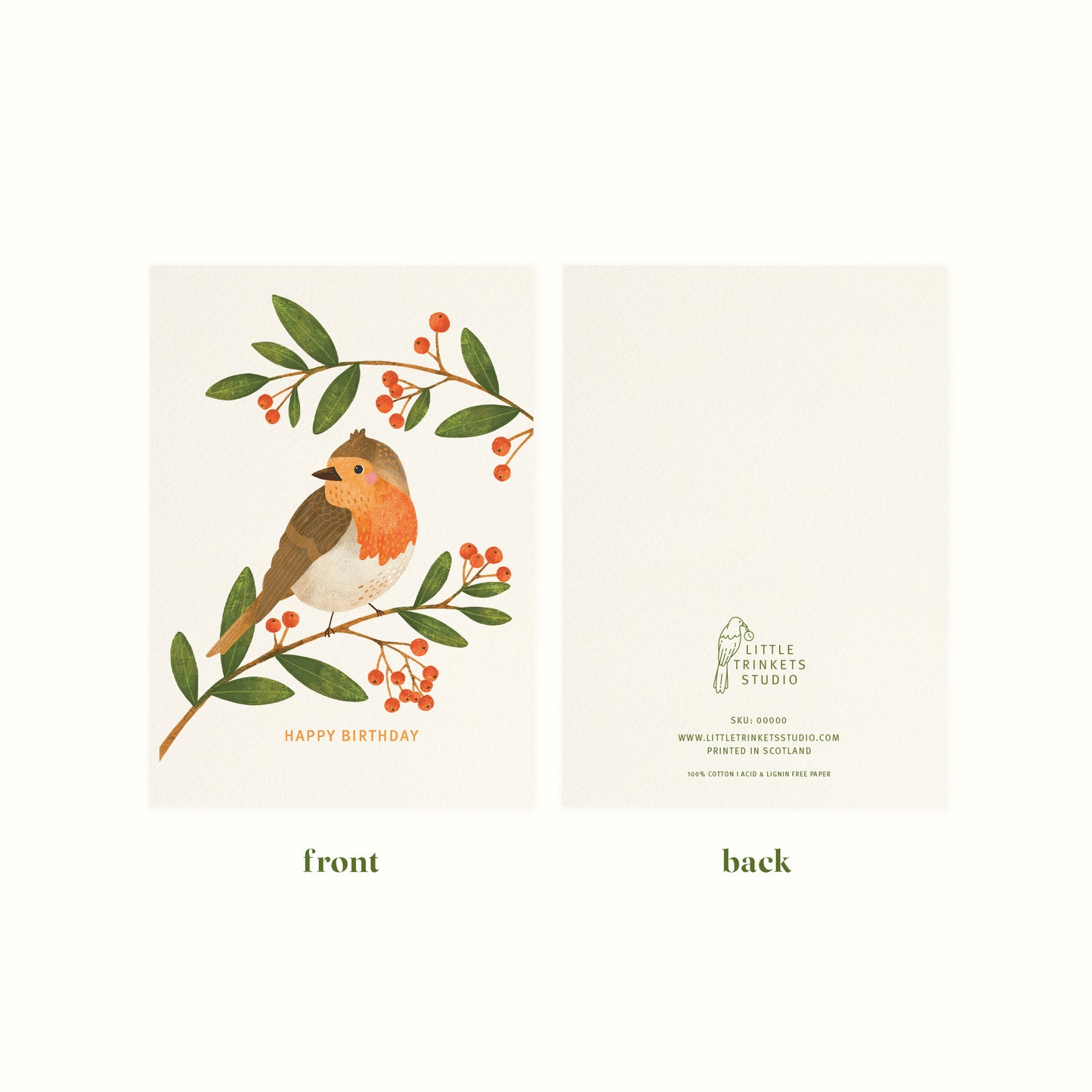 Robin Birthday Card