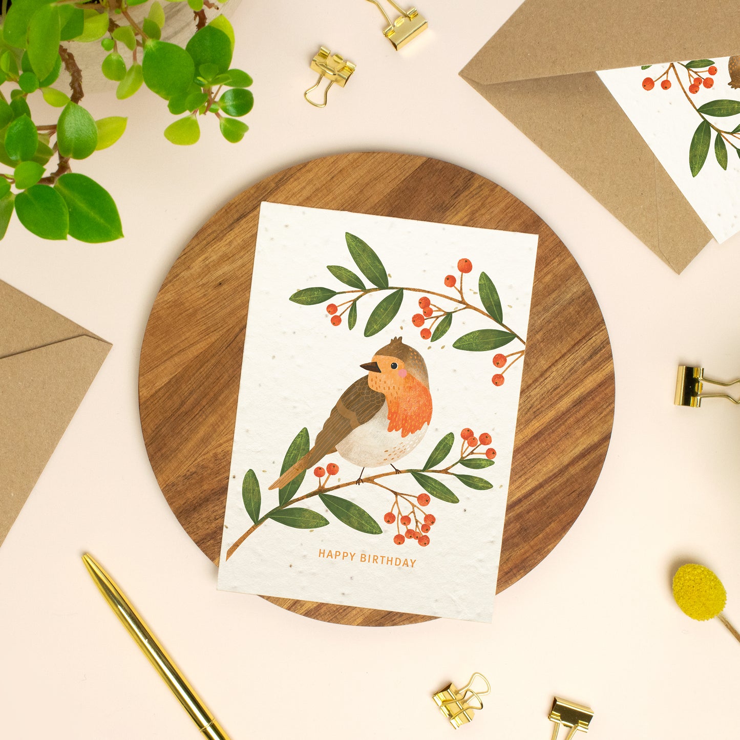 Robin Plantable Birthday Card