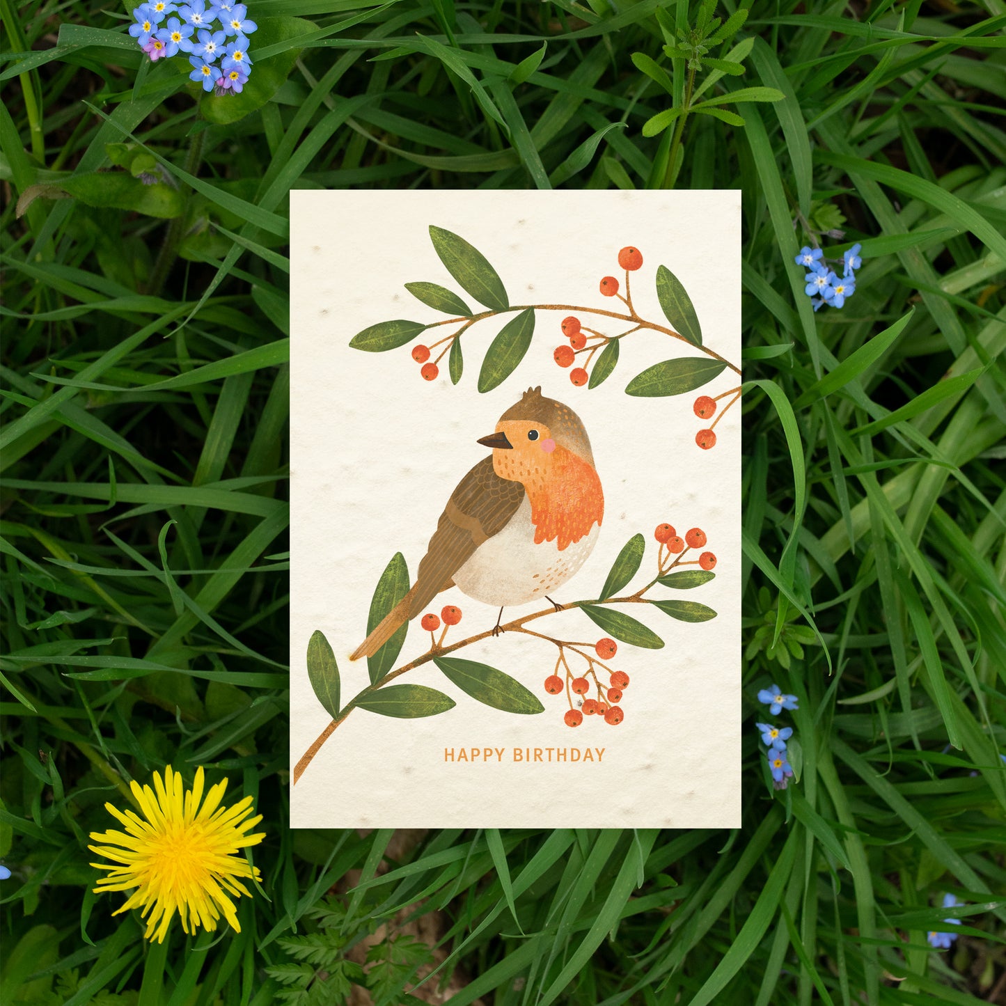 Robin Plantable Birthday Card