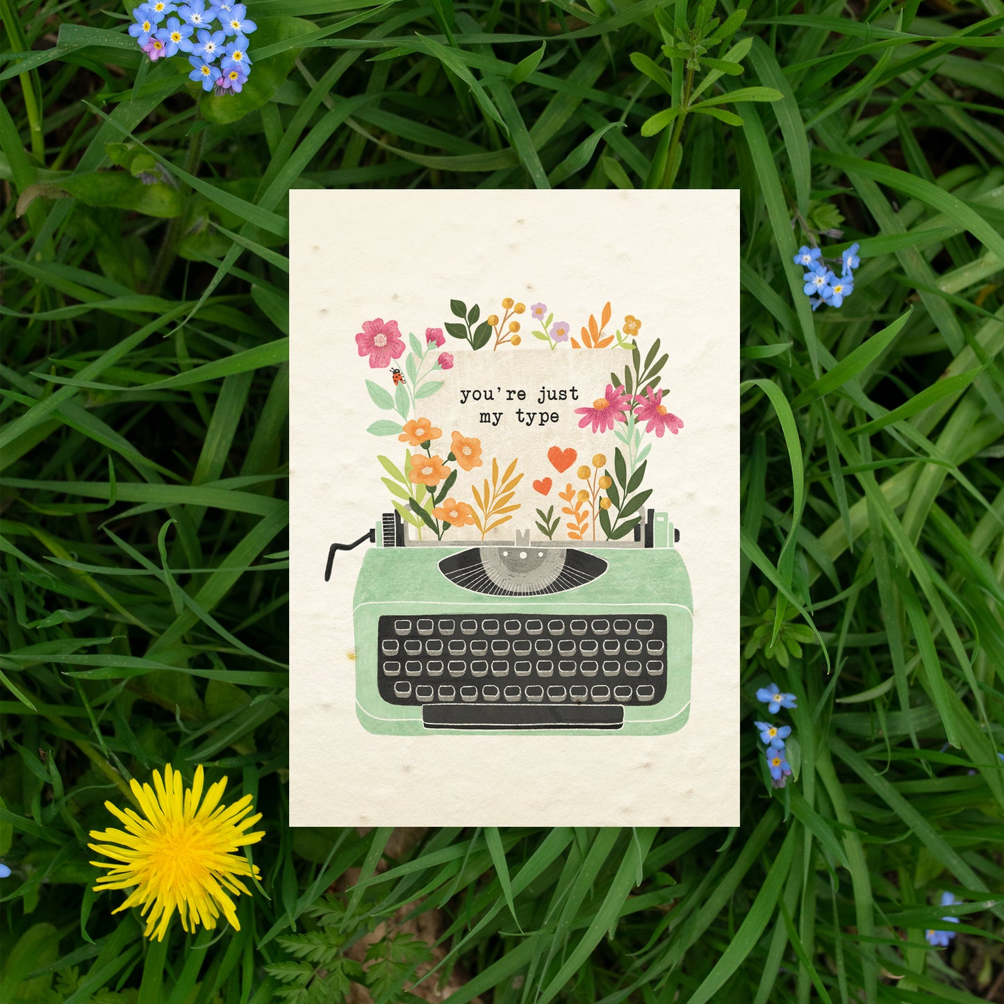 Plantable typewriter valentine's day card with wildflowers