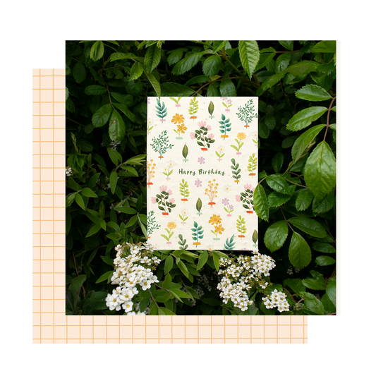 Presenting: Plantable Greeting Cards