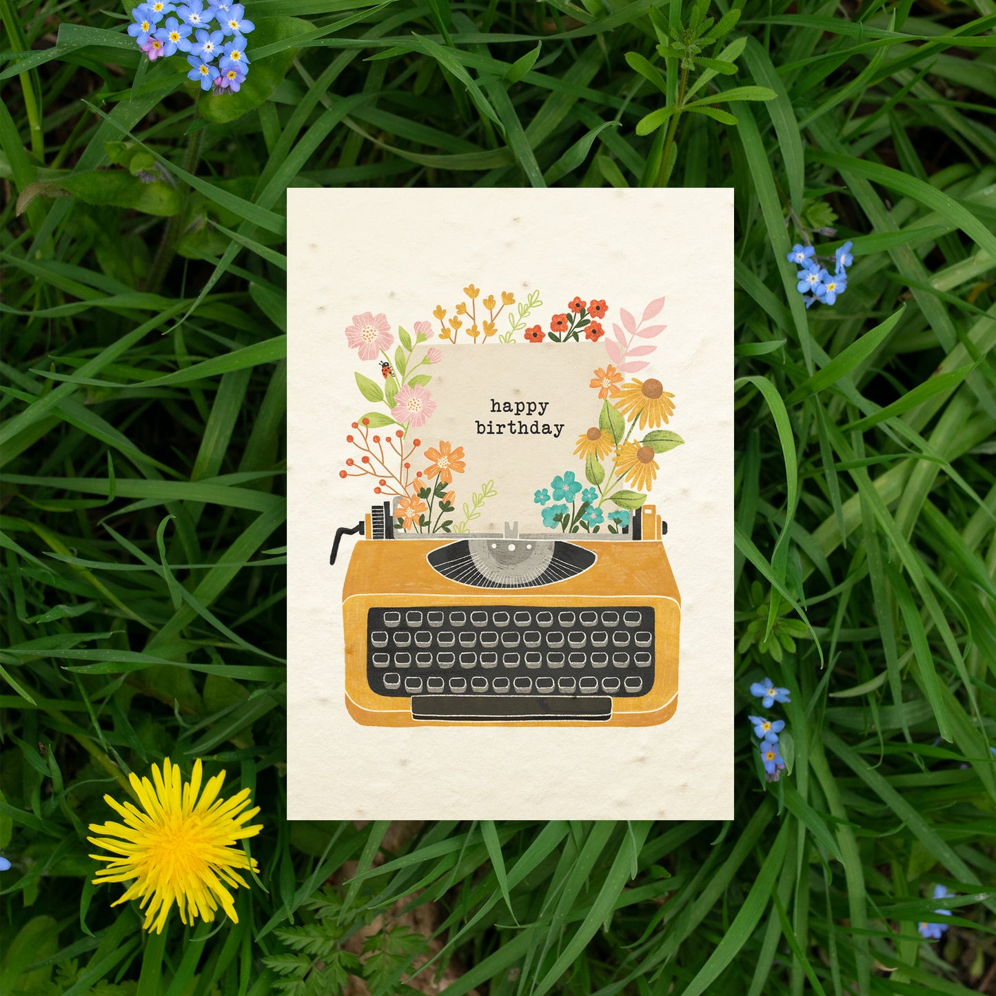 Plantable typewriter birthday card with wildflowers