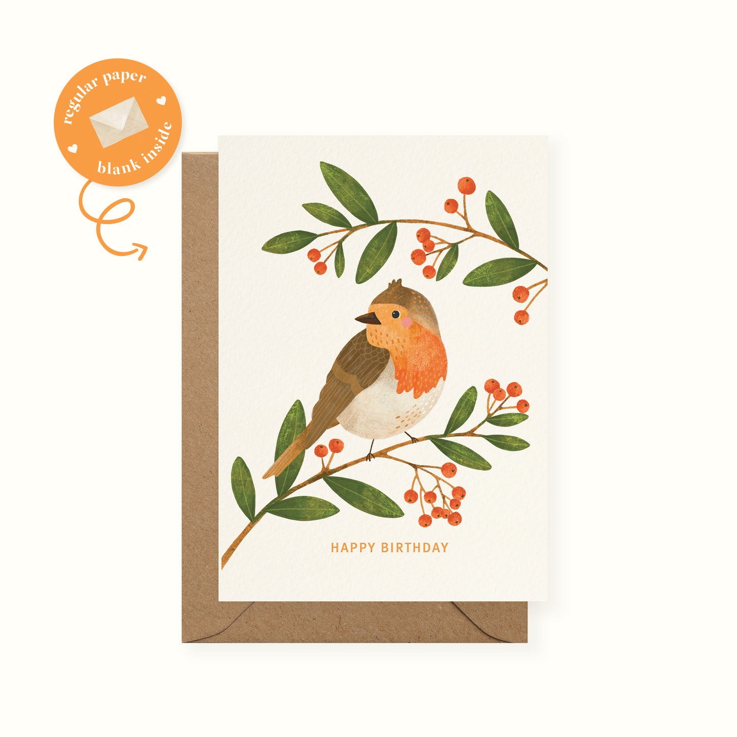 Robin Birthday Card