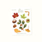 Autumn Tree Sticker Sheet